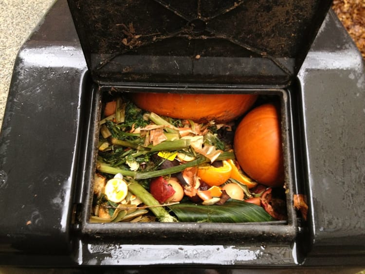 How To Become A Master Composter