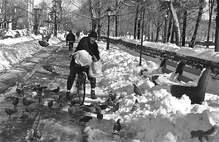 Photo Of The Day: Feed The Birds