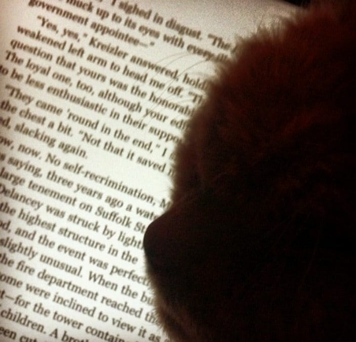 Photo Of The Day: Whatcha Reading?