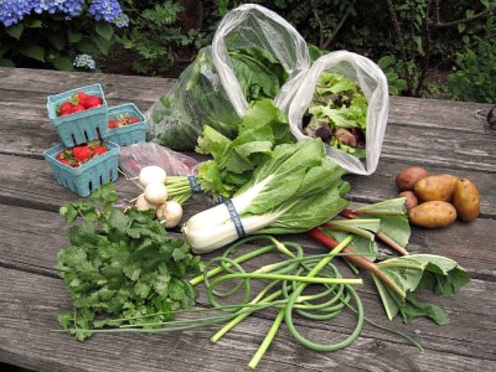 Discover More CSA Options In Kensington/Windsor Terrace