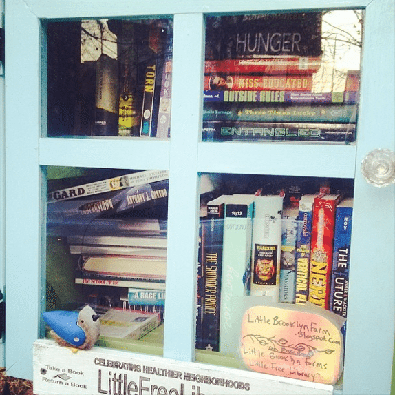 Little Full Library