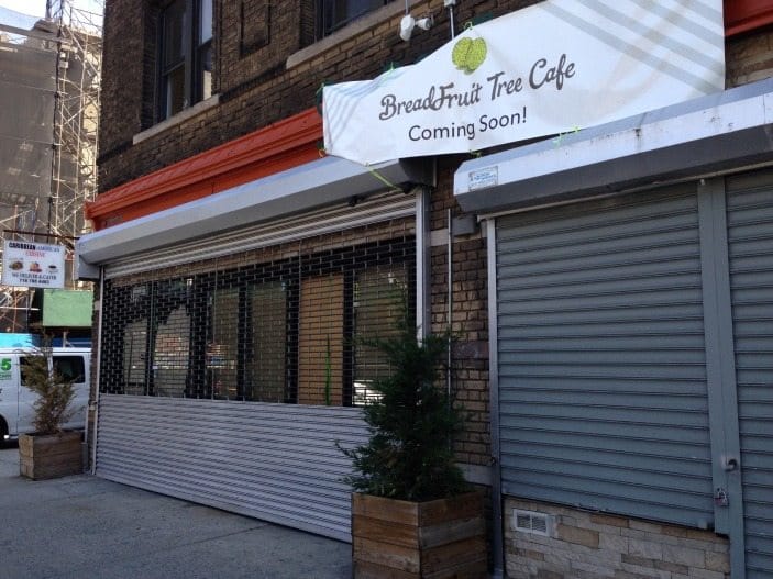 Breadfruit Tree Cafe Coming To 4th Avenue And 10th Street