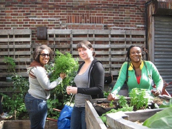 Upcoming Hours For Sustainable Flatbush & How To Help Them Win Up To $20,000