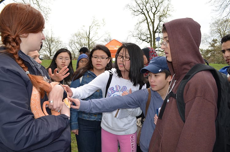 Family Fun At The Prospect Park Fair This Saturday