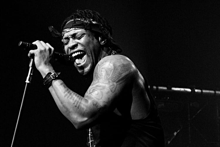 D’Angelo, Shabazz Palaces & More To Play AfroPunk Festival 2014