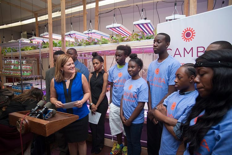 At CAMBA Food Pantry, Council Members Kick Off Program To Battle Youth Unemployment