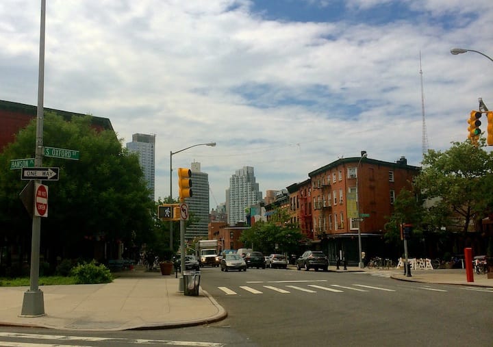 Vote Now: Which Flag Better Represents Fort Greene?