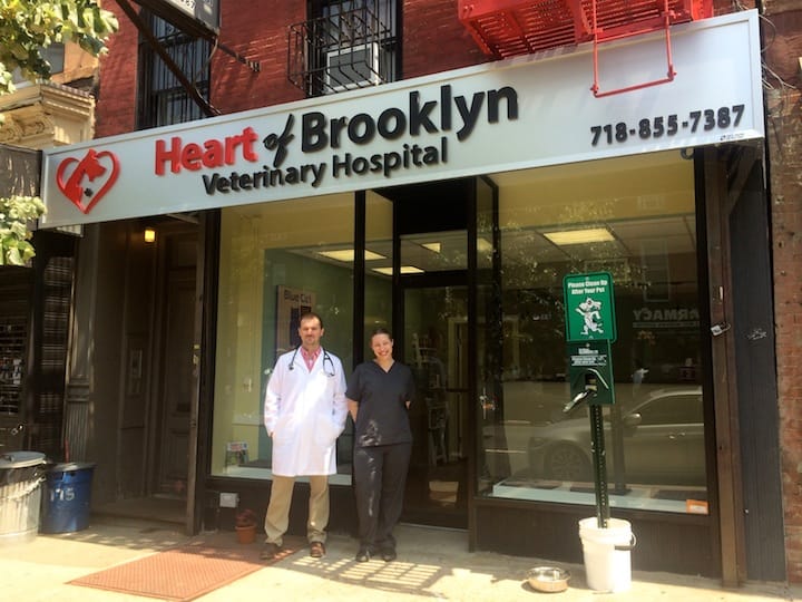 Get Your Pet Microchipped & Examined For 40% Off At Heart Of Brooklyn Veterinary Hospital