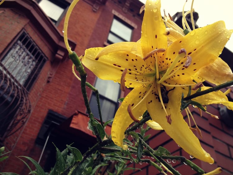 Photo Of The Day: Working In The Rain