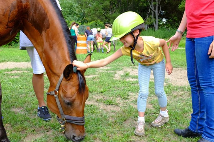 GallopNYC, Group Working With Children With Disabilities & Veterans, Lands $500K For Prospect Park Therapeutic Facility