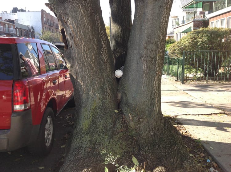 Another Day Documenting 86th Street’s Trash Problem