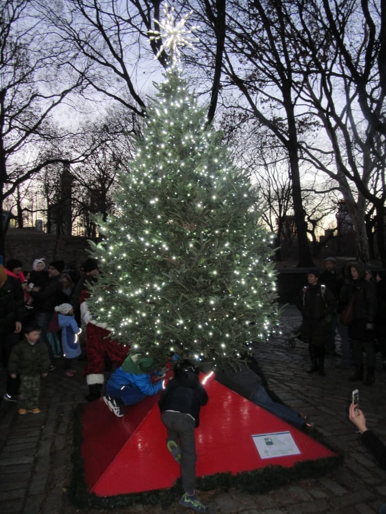 Fort Greene Park Holiday Tree Lights Community Spirit