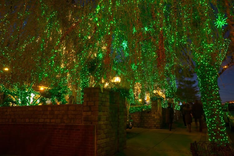 Photo Of The Day: Emerald Fountains