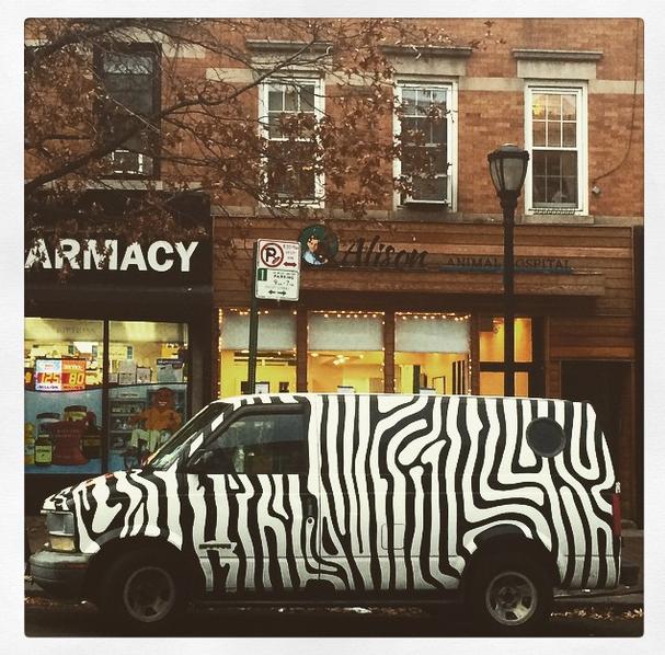 Photo Wrap: Seeing Stripes