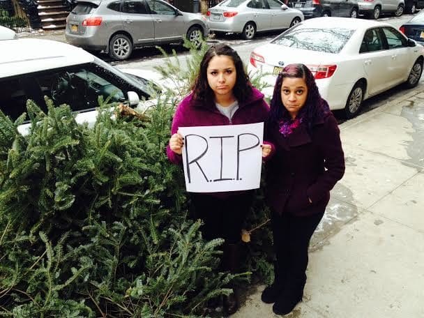 Photos Of The Day: RIP Trees, See You In Another Life