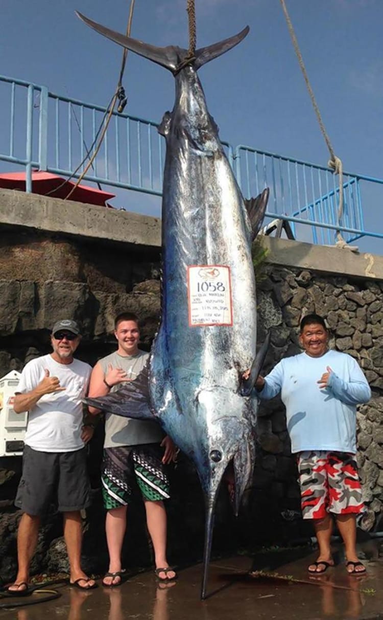 Fort Greene Teen Catches Gigantic Marlin Off Hawaii Coast