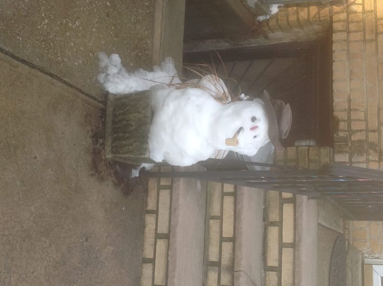 The Resilient Snowman