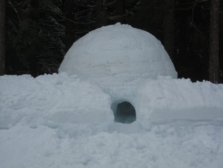 Borough Park Boy Rescued From Collapsed Igloo