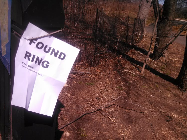 Did You Lose Your Ring At Prospect Park?