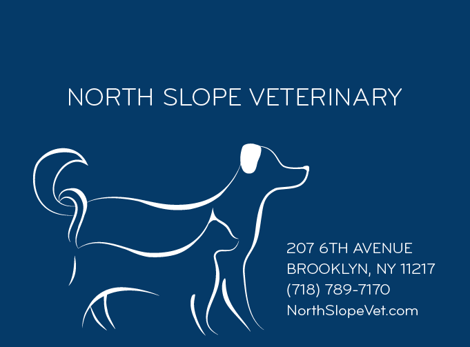 North Slope Veterinary Opens At  207 6th Avenue In Park Slope (Sponsored)