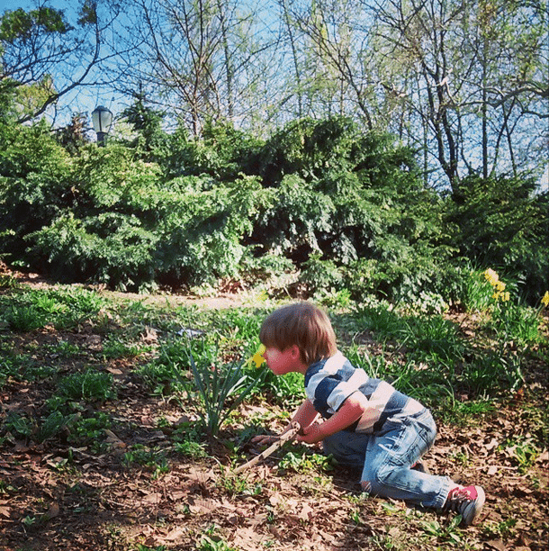 Photo Finish: Stop To Smell The Flowers