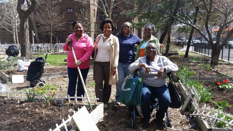 Congratulations, FAB Alliance And Ingersoll Garden Of Eden! Local Groups Win First Place In Greenest Block In Brooklyn Contest