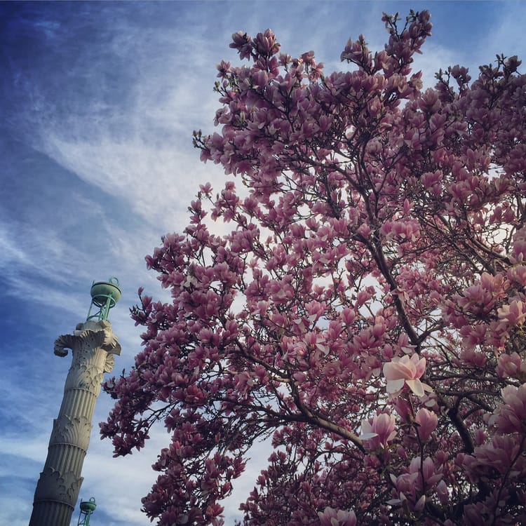 Photo Of The Day: Park Welcome