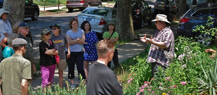 Tomorrow, May 15: Take A Free Tour Of The Flatbush Gardener’s Green Oasis