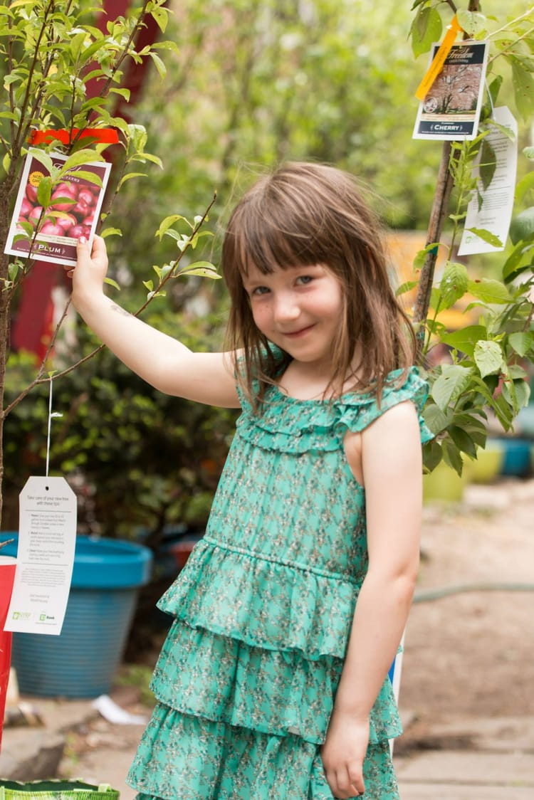 Get A Free Tree At Councilman David Greenfield’s Office This Sunday, May 17