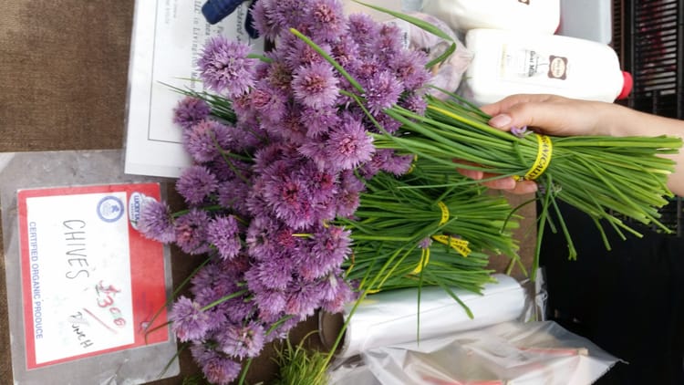 Photo Finish: Colorful Chives At Fort Greene Greenmarket