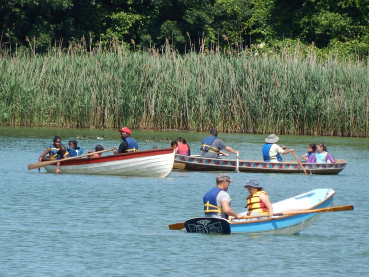 Enjoy Free Public Rowing In Prospect Park This Summer