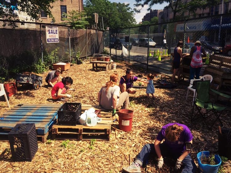 Calling All Beekeepers! Q Gardens Is Starting A Beehive