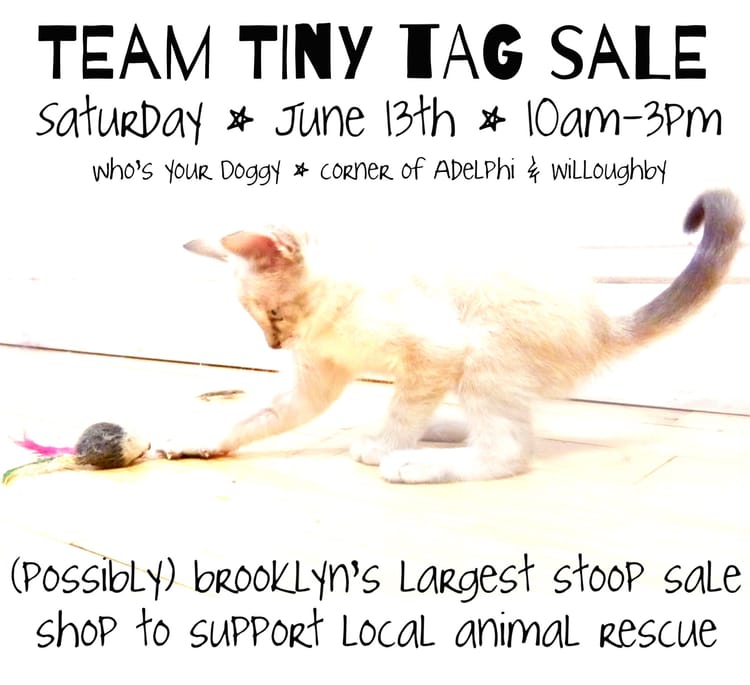 Saturday: Giant Stoop Sale To Help Support Team Tiny Animal Rescue