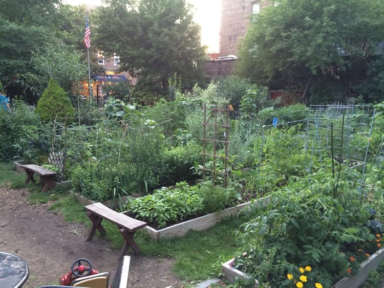 Hear Ye: Poets & Writers To Read Saturday, July 11 At The E. 4th Street Community Garden