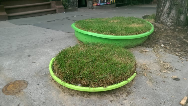 Neighbor Sets Up Doggy Port-A-Potties On Union Street