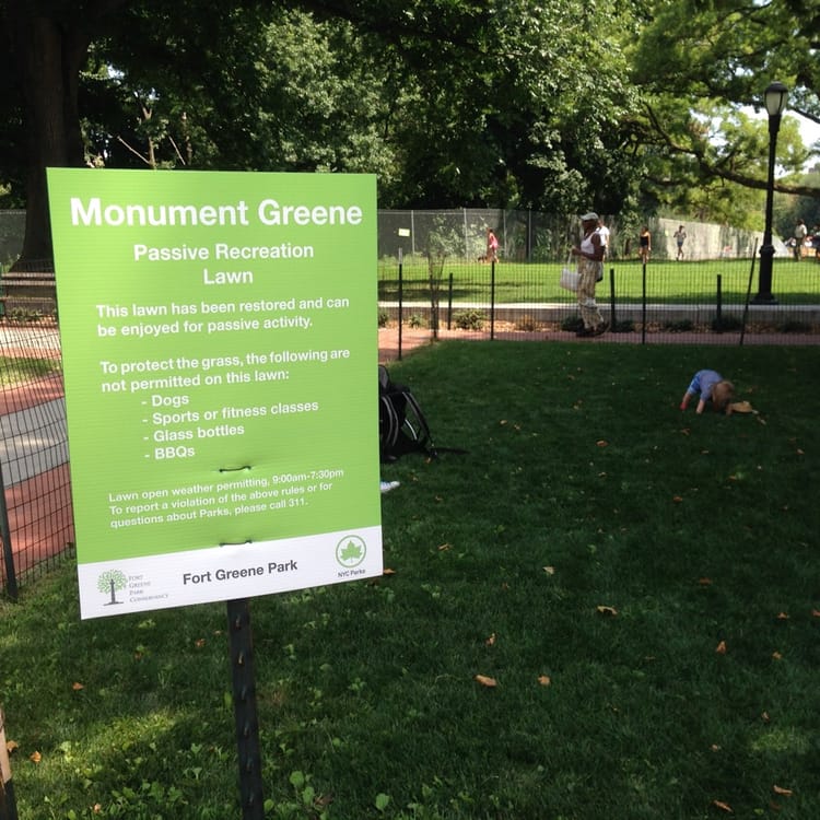 Guest Column: Loving Our Lawn At Monument Greene For Years To Come