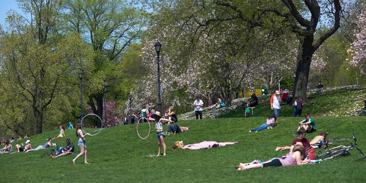 Let The Prospect Park Alliance Know What It Can Do To Make Our Green Oasis Even Better