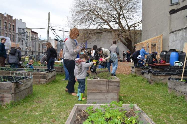 City Kids To Urban Farmers: Gardening With Kids In Brooklyn