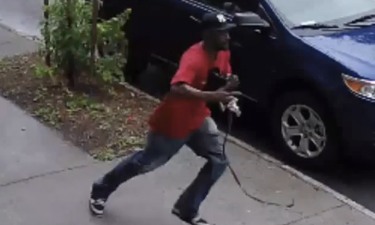 Man Caught On Camera Stealing Woman’s Purse Around Foster & Roger Avenues