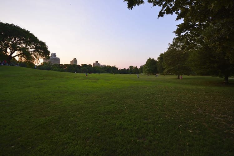 Things To Do In Prospect Park This August