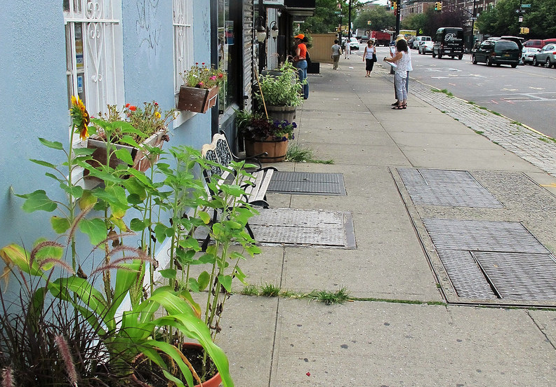 Congratulations, Cortelyou Road Merchants Association! Group Lands Third Place In Greenest Block In Brooklyn Contest