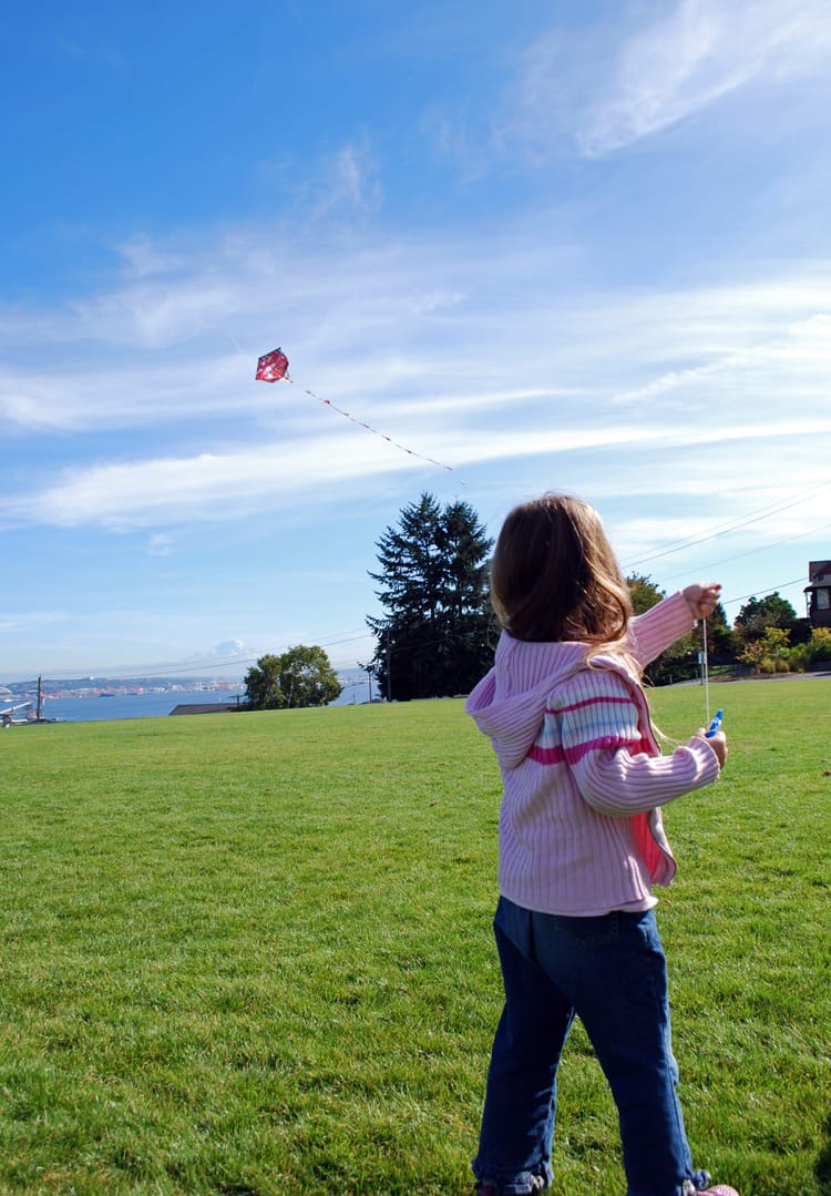 Things To Do With The Kids, Through August 11: American Heroine Alphabet Book, Hopalong Andrew, Mockingjay Part I, And Make Your Own Kite