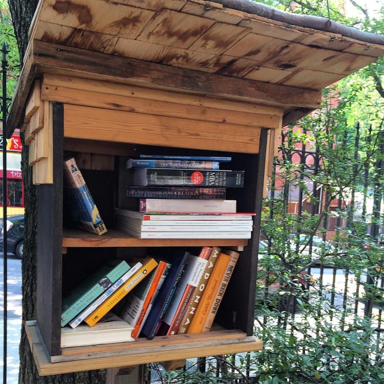 Photo Of The Day: Little Free Library