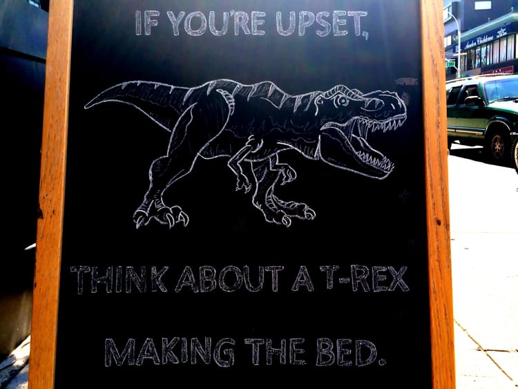 Photo Of The Day: Dinosaur Wisdom