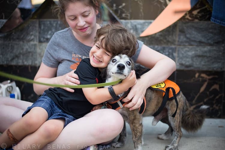 Kids Want A Pet? Tips On Adoption From Badass Brooklyn Animal Rescue