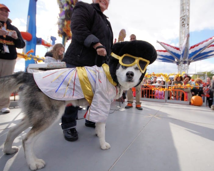 Register For Luna Park’s Halloween Dog Parade & Costume Contest