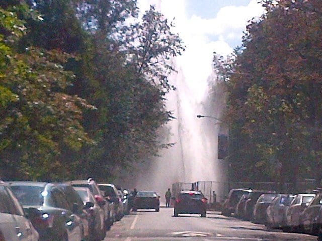 Water Main Break Knocks Out Some Fort Greene Park Bathroom Service