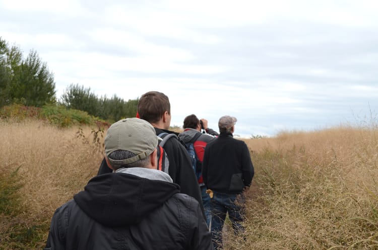 Marine Park Getting A Facelift With Habitat Restoration & Trail Development Project