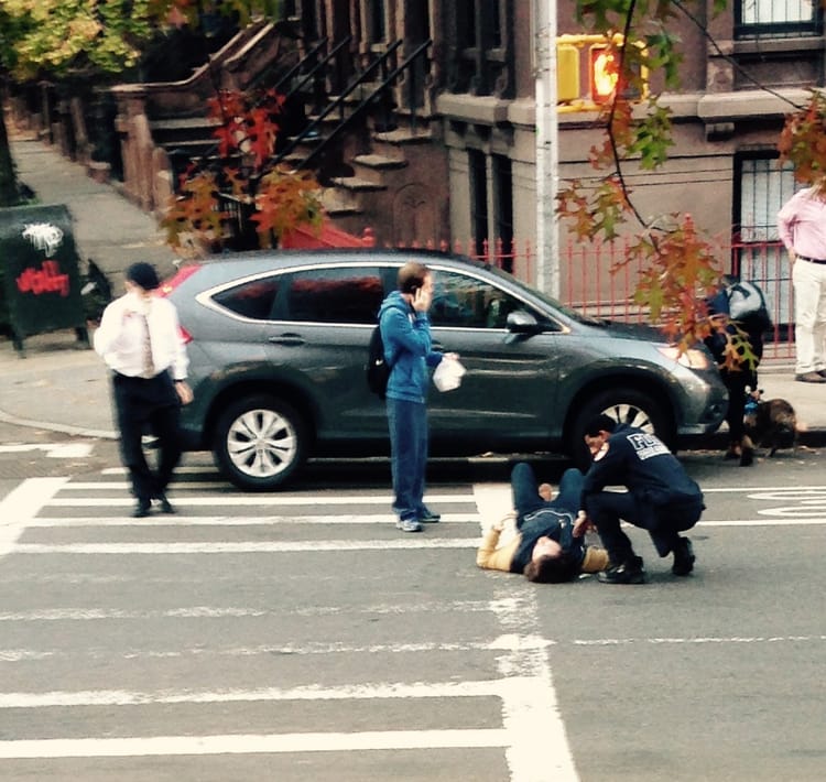 Man Hit While Saving His Dog From An Oncoming Car At DeKalb and South Oxford