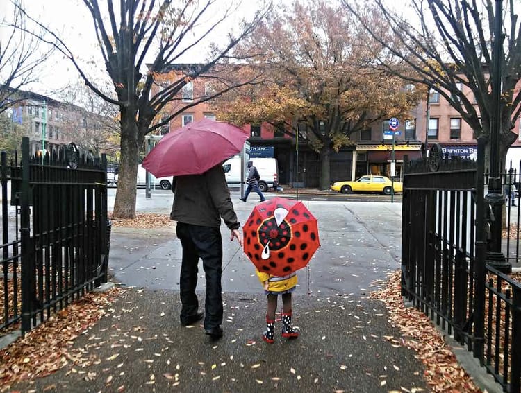 Photo Of The Day: Take My Hand